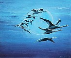 "A tire d'aile" - 60 x 73